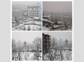 Himachal Snowfall: मनाली -शिमला और ऊंचाई वाले इलाकों में सीजन की पहली बर्फबारी; निचले इलाकों में बारिश, किसानों को मिली राहत