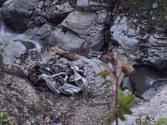 Himachal Breaking: चंबा के कालाबन के पास दर्दनाक हादसा; तीसा के सचे जोत घूमने निकले पर्यटकों की गाड़ी गहरी खाई में गिरी, 8 लोगों की मौत की आशंका