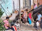 खन्ना में आंधी से 150 साल पुराना पेड़ गिरा, कई घर क्षतिग्रस्त