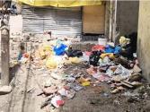 Himachal : Manali : पर्यटन सीजन के बीच कचरे के ढेर से धूमिल हो रही मनाली की छवि, हिडिंबा मंदिर और रोहतांग के आसपास लगे कूड़े के ढेर