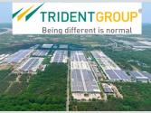 Trident लिमिटेड का वित्त वर्ष 2026-27 की पहली तिमाही में मजबूत प्रदर्शन