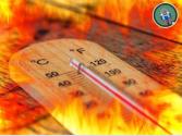 उत्तरी भारत में भीषण लू का प्रकोप जारी रहेगा; 29 मई के बाद राहत की उम्मीद: IMD